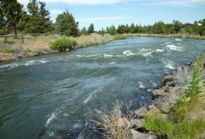 The Pilot Butte Canal today 